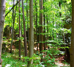 Wanderung zum Bärenfels