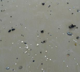 Римини, море