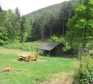 Auf dem Weg zum Hilschweiher