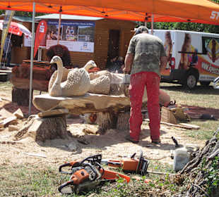 Kreativ Kettensägen am Rhein