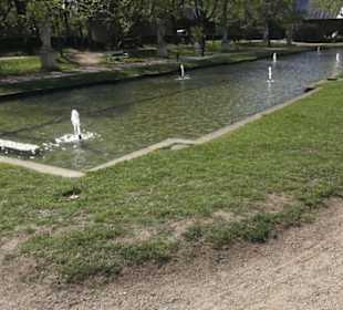 Rheinisches Landesmuseum