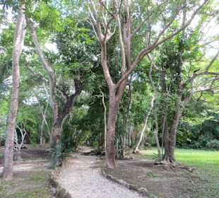 Ausflug mit Daniel zu den Maya Ruinen in Muyil