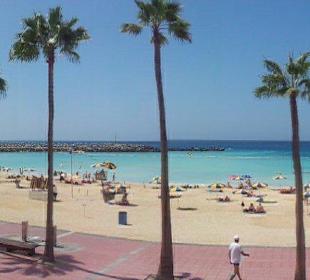 Do plazy jakies 30 minut autobusem