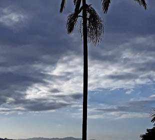 Maokong Gondel -  Rund um Tempel Station