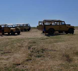 Ausflug Jeepsafari