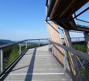 Im Turm des Baumwipfelpfades Steigerwald