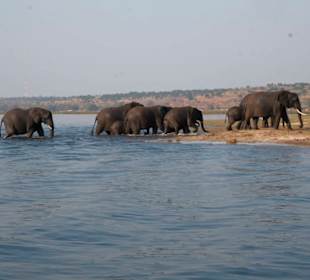Chobe