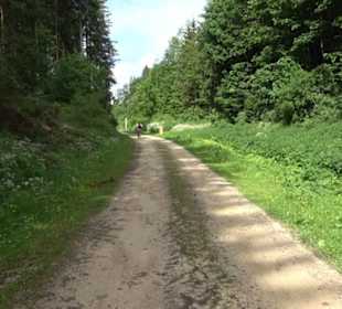Premiumwanderweg "hochgehackert"