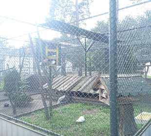 Freizeitpark Wendisch Rietz