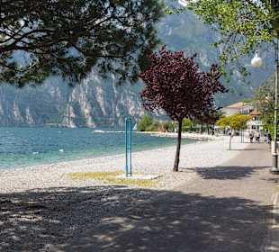 Gardasee 