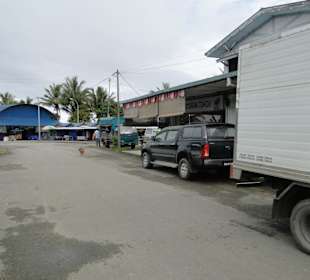 Ausflug Wildfife Expeditions