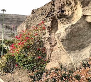 Promenade Puerto Rico