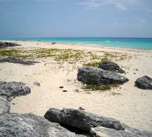 Trochę dalej od hotelu