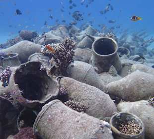 Traumhaftes Hausriff