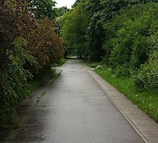 Park