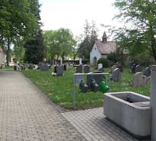 Friedhof