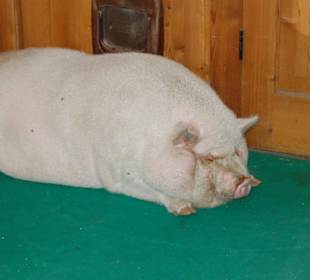 Ich habe ein lauschiges Plätzchen gefunden