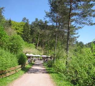 Am Paddelweiher in Hauenstein