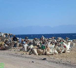 Auf dem Weg zum Blue Hole