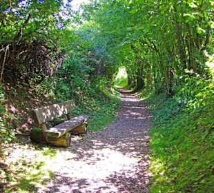 Der Therapeutische Wanderweg