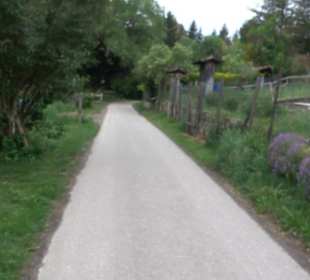 Naturinfopfad Weggental