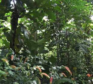 Botanischer Garten der Universität Zürich