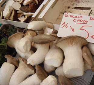 Auster Champignons lautet die Übersetzung