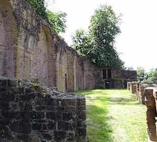 Schloss Heidelberg und Park