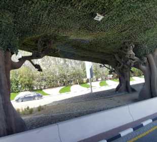 Stadtrundfahrt Dubai