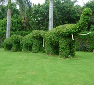 Słoniki na szczęscie