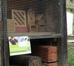 Naturinfopfad Weggental