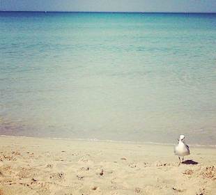 Strand ca. 15 Minuten zu Fuß vom Hotel