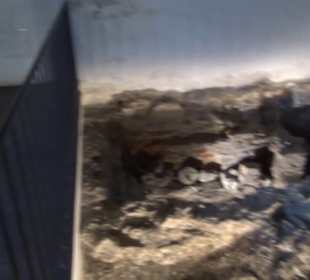 Goldschatz - Festungsmuseum