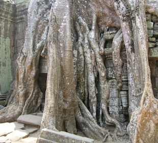 Tempel Ta Prohm