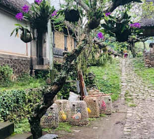 Tenganan Dorf