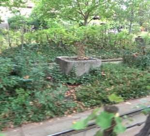 Erlebnispark Tripsdrill