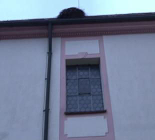 Pfarrkirche St. Gallus Zell