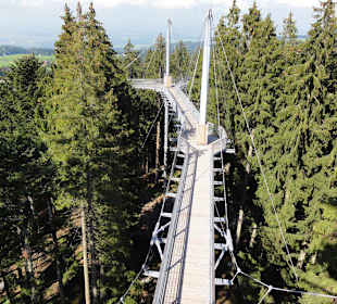 Hängebrücken