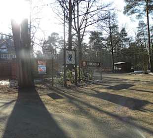 Biergarten  Waldkater