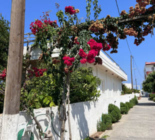 Wandern Kokkini Hani