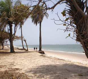 Strand im Sine-Saloum Delta