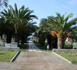 Die neue Promenade