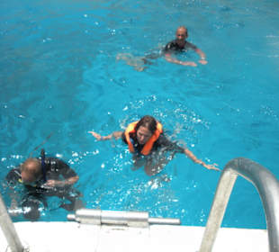 Dolphintour mit Oototo zum Zweiten