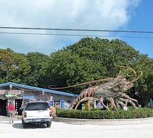 Abwechslungsreiche Fahrt