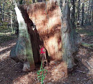 Wandern Zwenzow