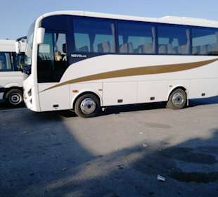 Busse