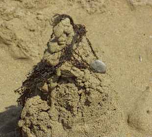 Alles Bauwerk von kleinen und großen Architekten