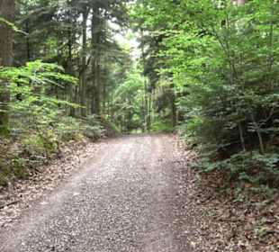 Wanderweg - Alter Steinbruch Pfaffenberg Runde