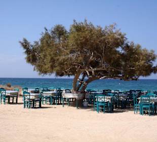 Taverna Paradiso