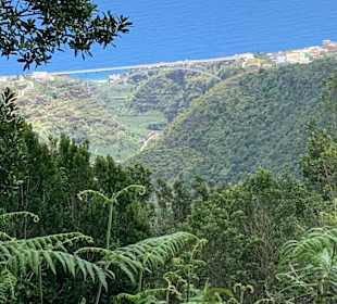 Inselrundfahrt La Palma